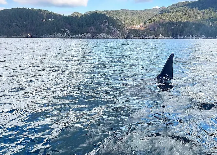 Ferienhaus 7 Person In Huglo-by Traum Nord Huglo